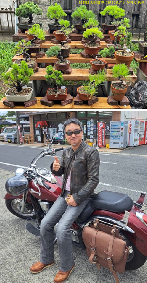 今まで実行した、楽しんだ、楽しんでいる趣味や遊び